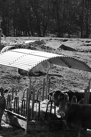 Botega Rafael Palacios | Spain | Valdeorras
