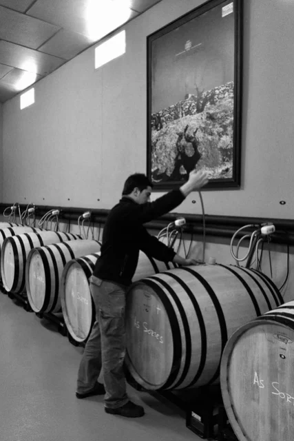 Botega Rafael Palacios | Spain | Valdeorras