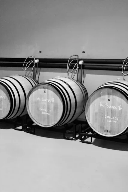 Botega Rafael Palacios | Spain | Valdeorras