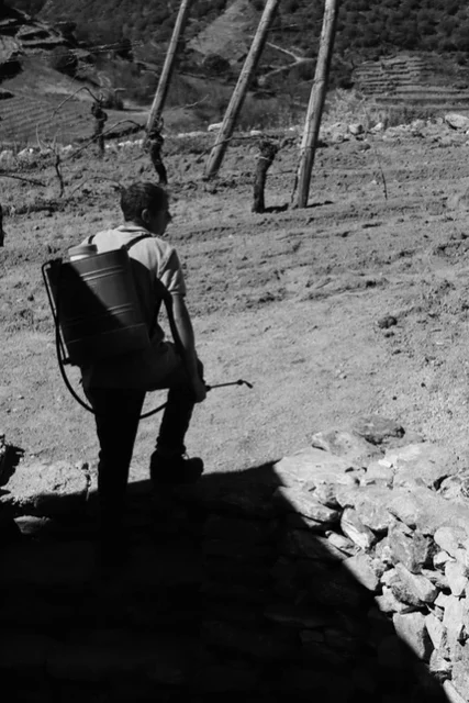 Botega Rafael Palacios | Spain | Valdeorras