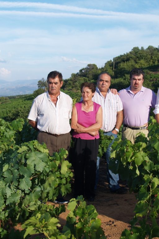 Bodega Luzdivina Amigo | Spain | Bierzo
