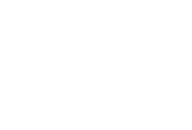 Dehesa de los Canónigos | Spain | Ribera del Duero