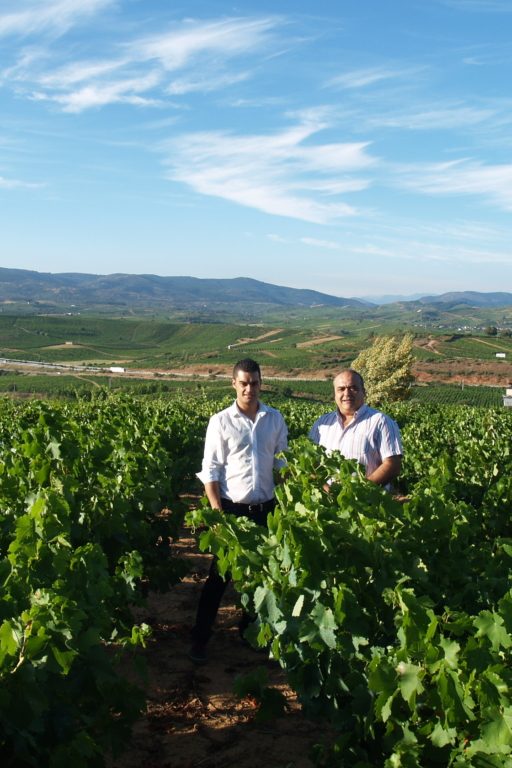 Bodega Luzdivina Amigo | Spain | Bierzo