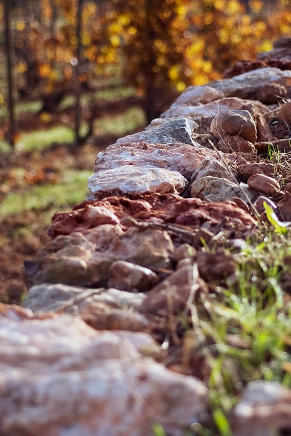 Recaredo | Spain | Penedès